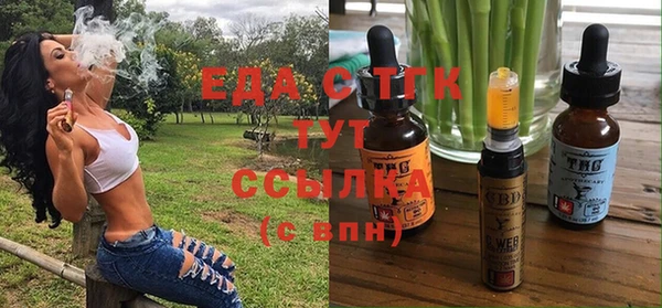 стаф Арсеньев
