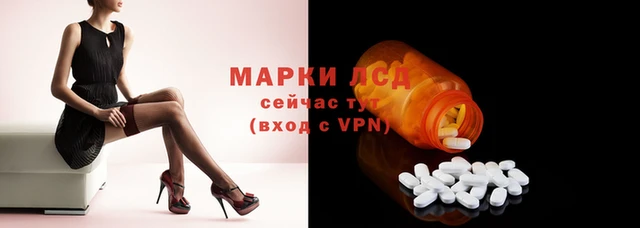 стаф Арсеньев